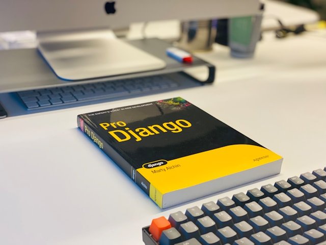 Python & Django Image